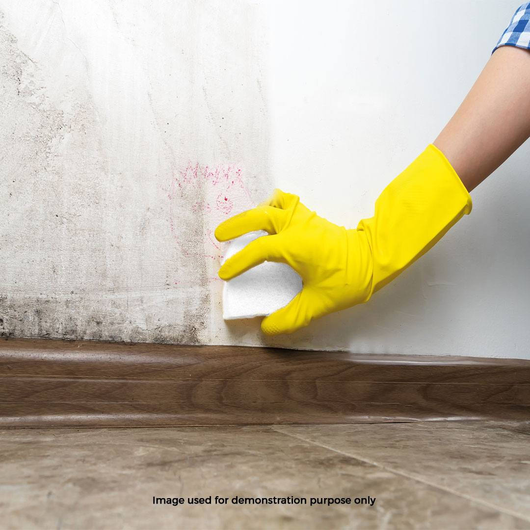 Magische Spons (2 stuks) Code: BHAC0001